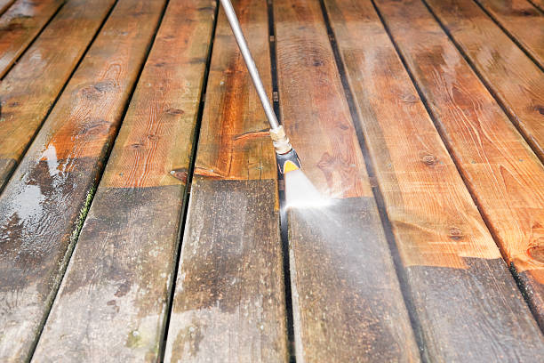 Best Sidewalk Pressure Washing  in Mount Dora, FL