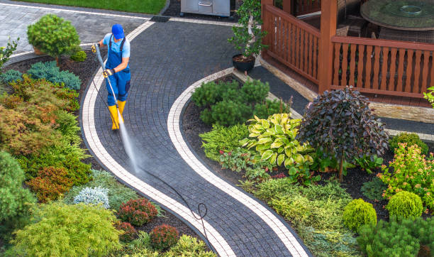 Best House Pressure Washing  in Mount Dora, FL