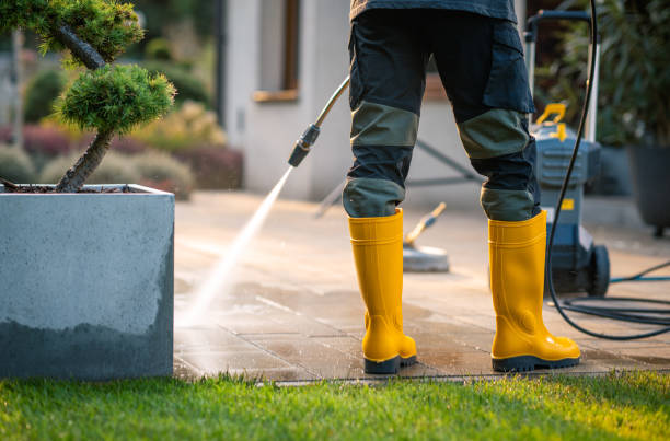 Best Best Pressure Washing Companies  in Mount Dora, FL
